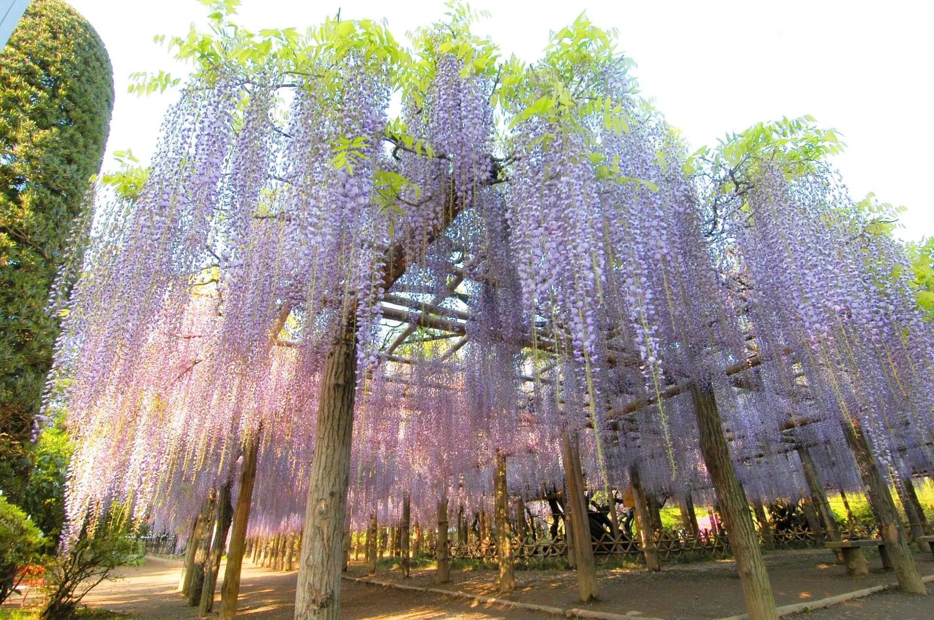 🐠 나카가와 물놀이 공원(나카가와 스이유엔) 이미지 11